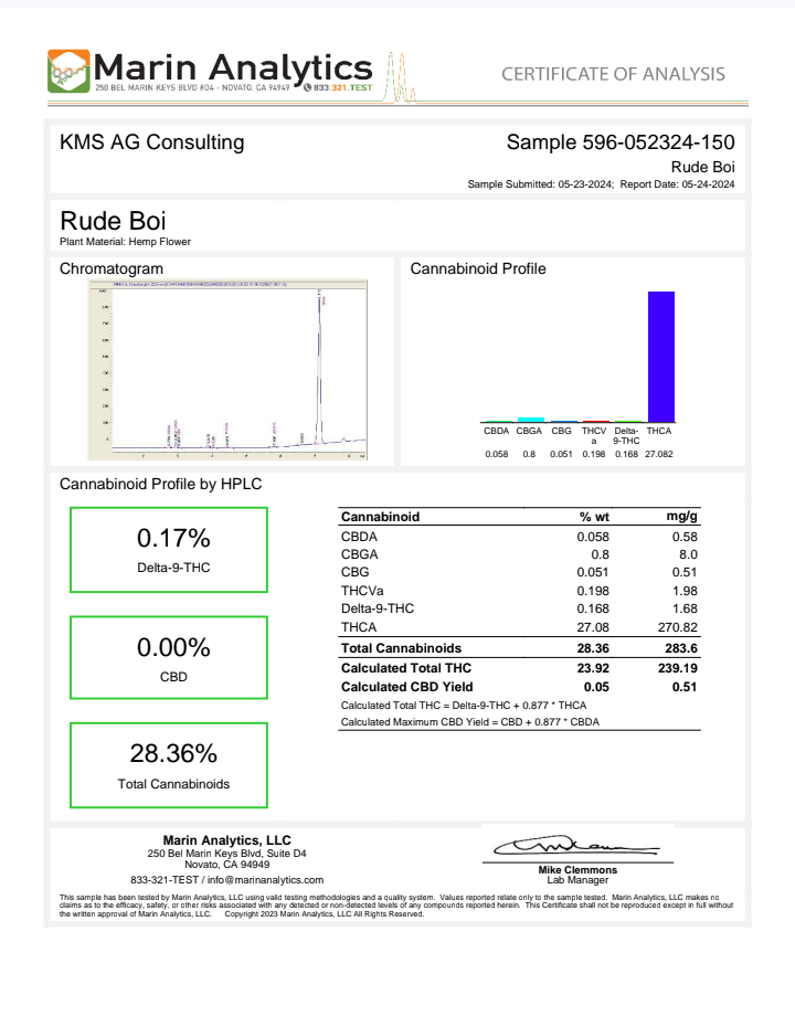 Rudeboi OG - QP/HP/POUND