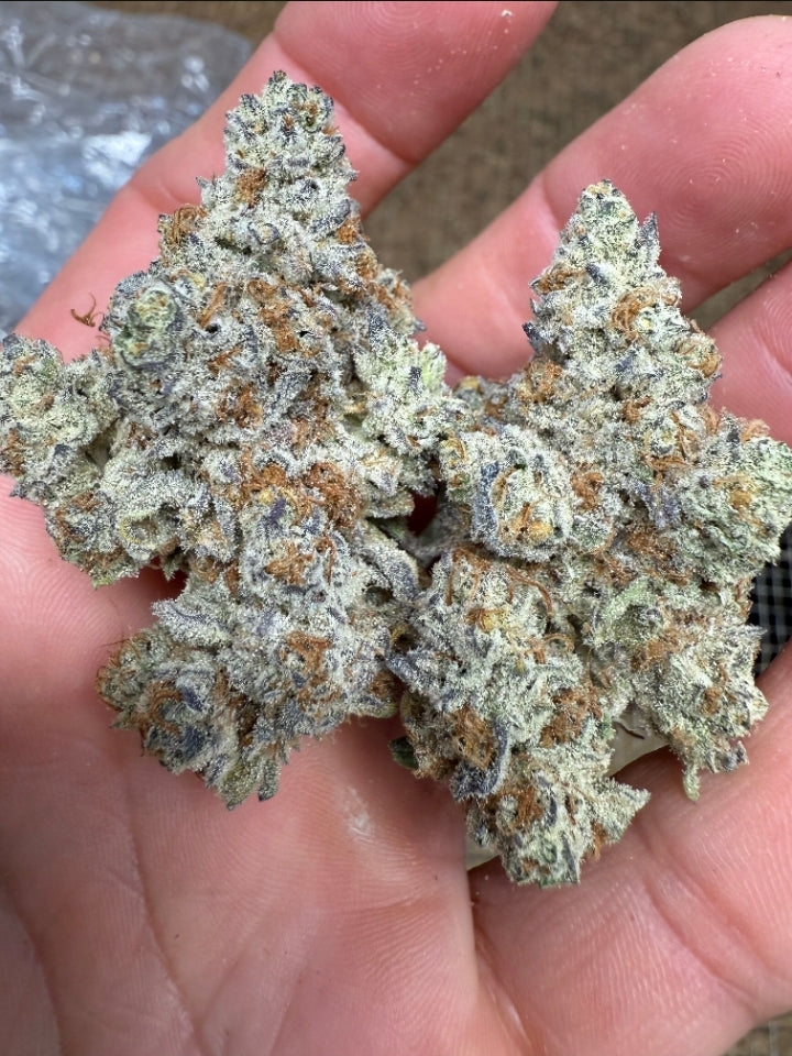 Dante Inferno THCA Flower - 1 POUND