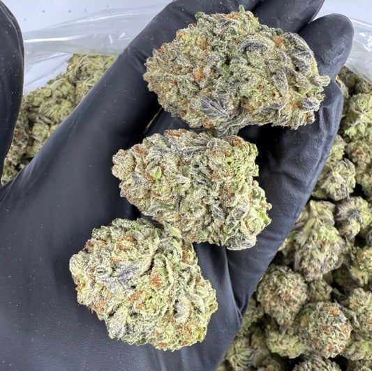 White Truffle THCA Flower - QP/HP/POUND
