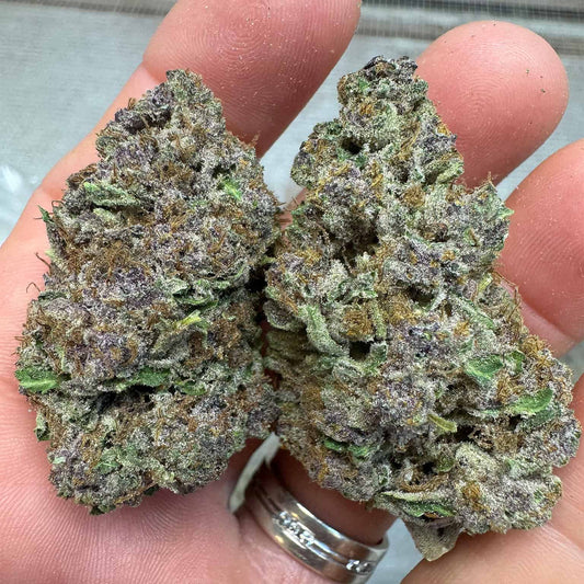 GMO Grapes THCA Flower - QP/HP/POUND