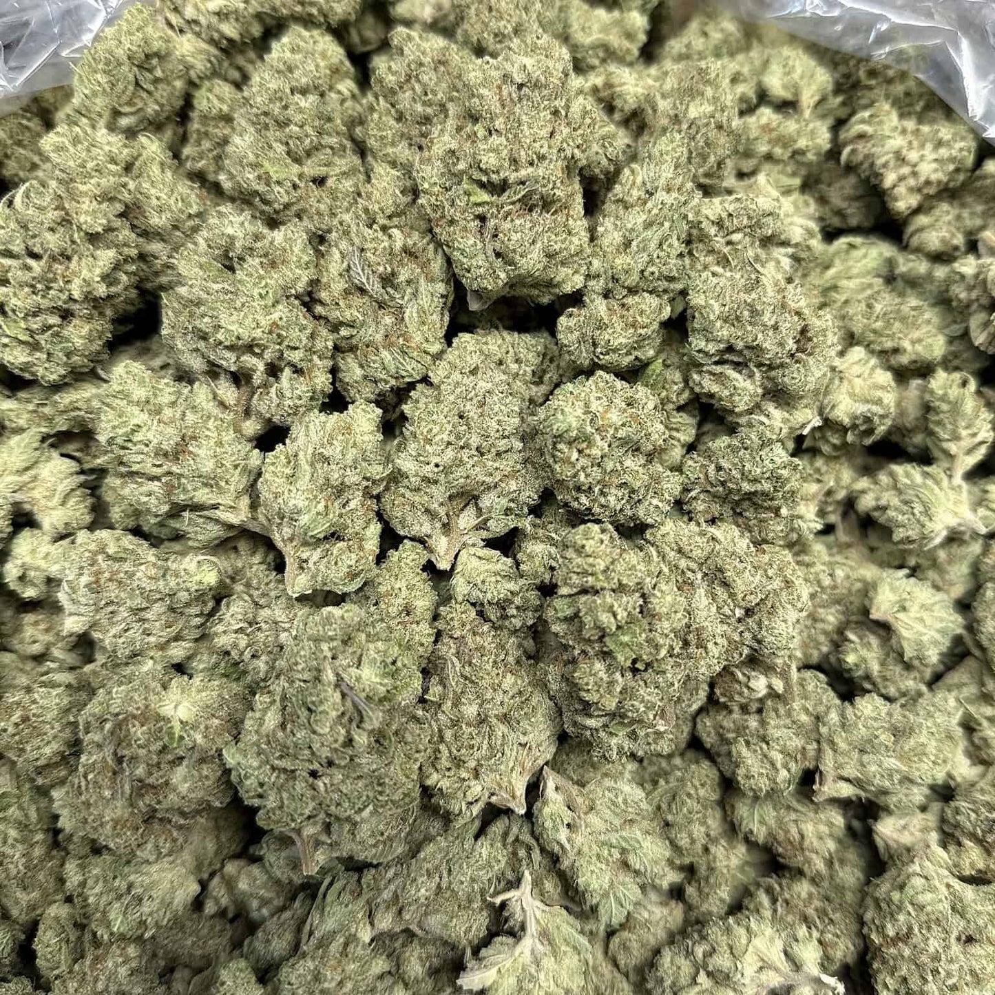 Papaya Punch THCA Flower - QP/HP/POUND