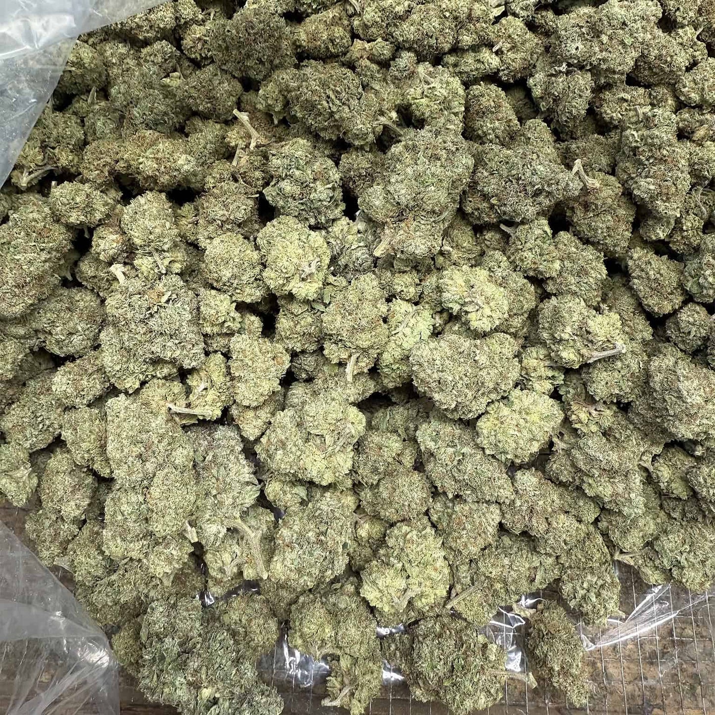 Pineapple OG THCA Flower - QP/HP/POUND