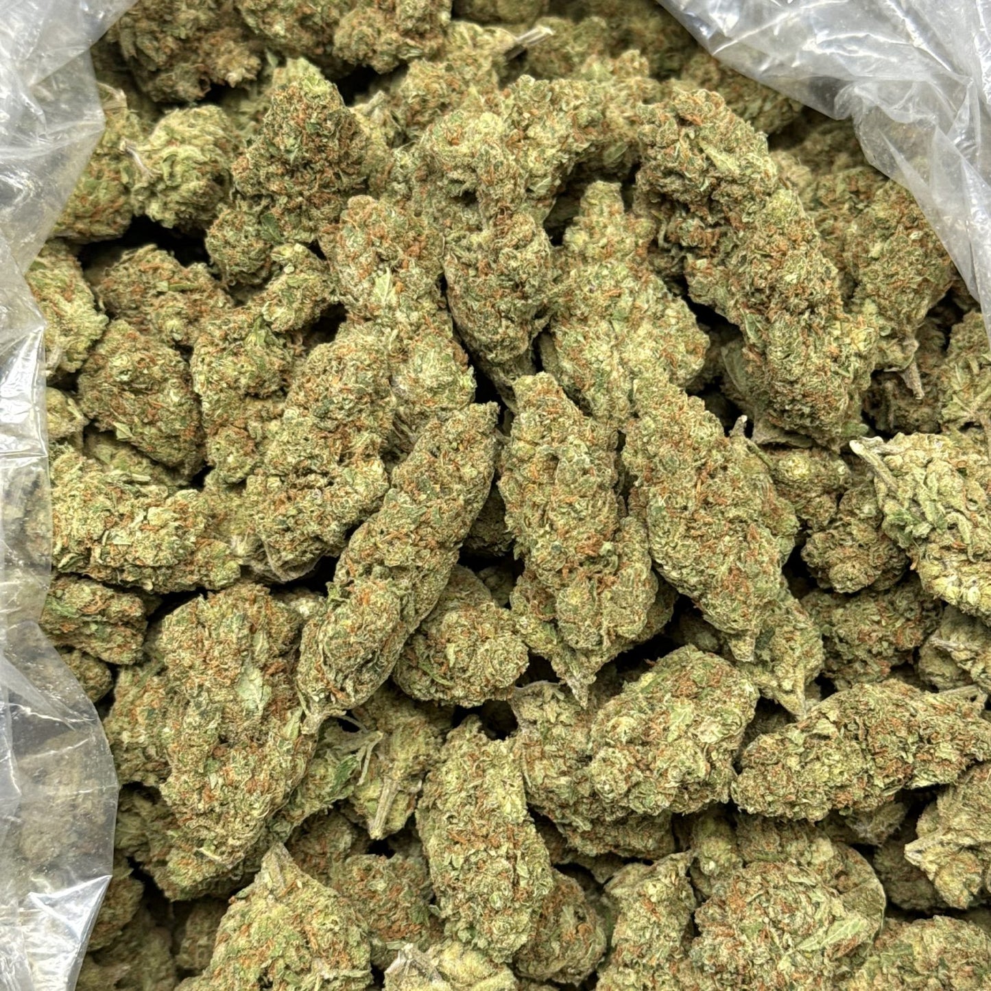 Super Silver Haze THCA Flower - QP/HP/POUND