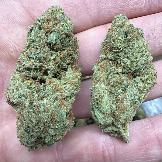 Super Silver Haze THCA Flower - QP/HP/POUND