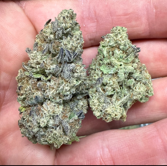 Rudeboi OG - QP/HP/POUND