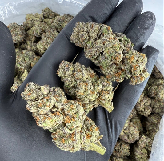 Black Amber THCA Flower - 1 Pound